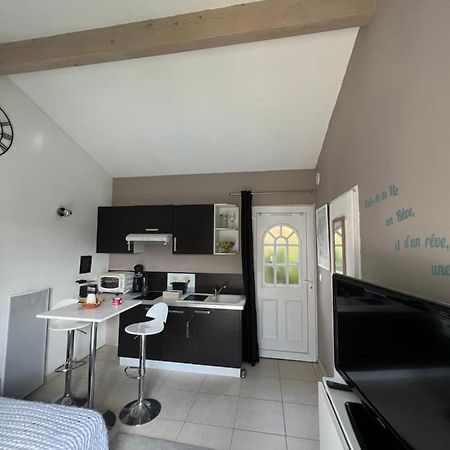 Studio Riquet Independant Attenant A Villa Capestang Exterior foto